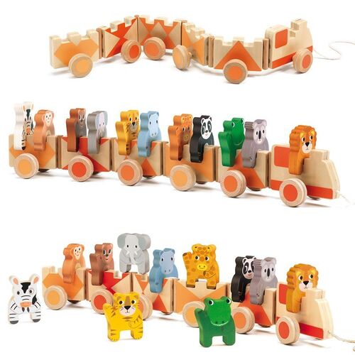 PRIMERA EDAD TRAINIMO JUNGLA