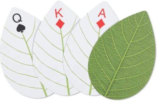 CARTAS HOJA HUCKLEBERRY