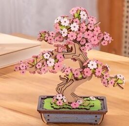 SAKURA BONSAI
